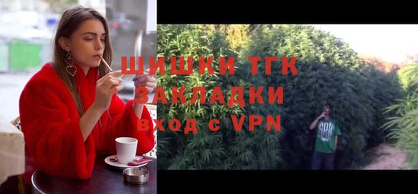 PSILOCYBIN Михайлов