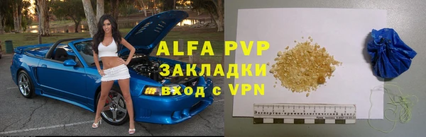 PSILOCYBIN Михайлов