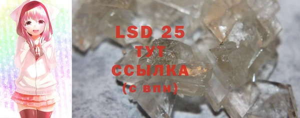 PSILOCYBIN Михайлов