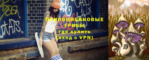 молекула духа Медногорск