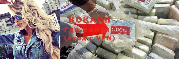 PSILOCYBIN Михайлов