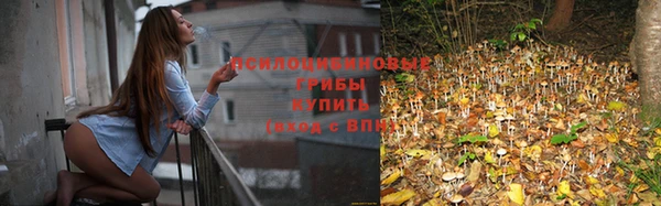 молекула духа Усмань