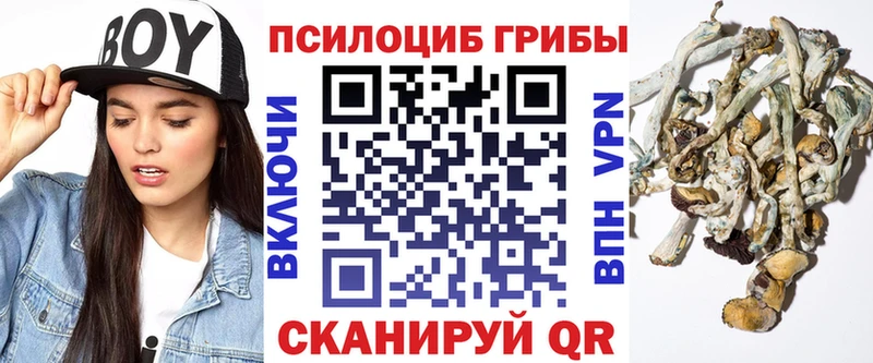 площадка какой сайт Красноярск Псилоцибиновые грибы Psilocybe