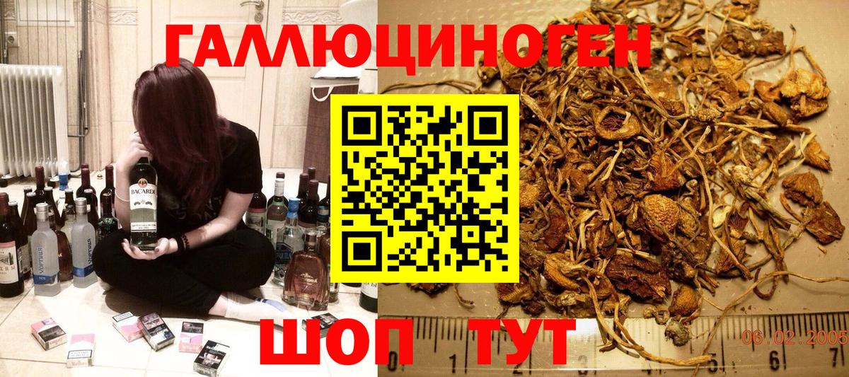 Галлюциногенные грибы ЛСД  Галлюциногенные грибы мухоморы  Красноярск  Вход с VPN 